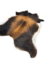 PREMIUM BRAZILIAN NATURAL COWHIDE