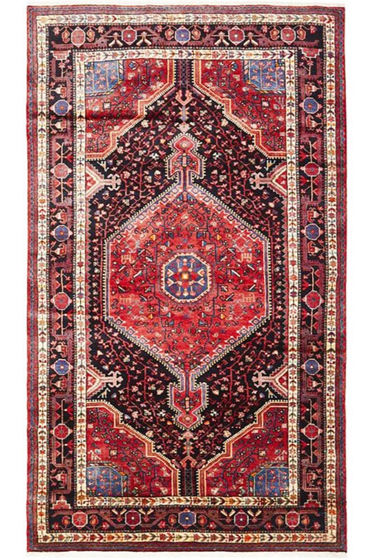 Hand Knotted Pure Wool Toyserkan Rug 258X145CM