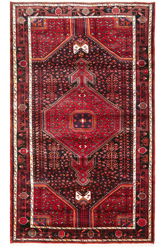 Hand Knotted Pure Wool Toyserkan Rug 279X160CM