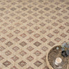 Indoor/outdoor Flat-Weave 562 Fawn Rug