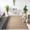 Indoor/outdoor Flat-Weave 562 Fawn Rug