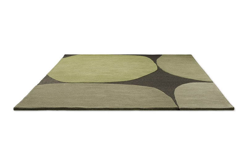 Decor Plateau 091907 Rugs by Brink and Campman in Moss